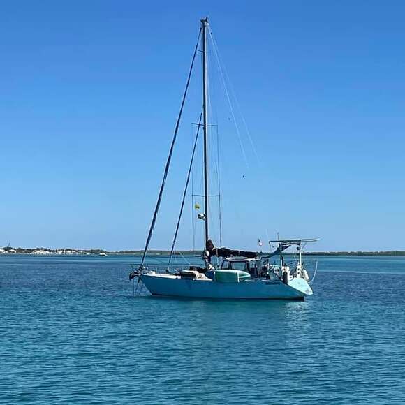 alfitairie